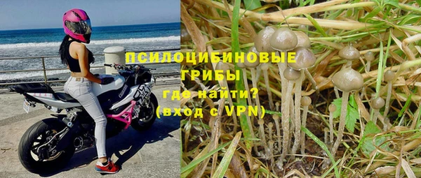 шишки Балахна