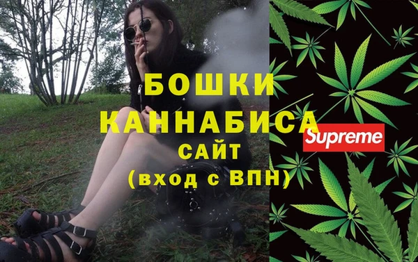 шишки Балахна