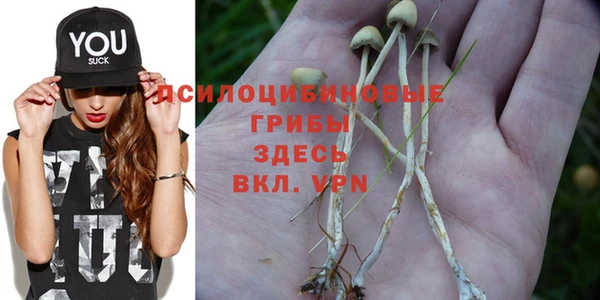 трава Баксан