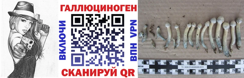 Псилоцибиновые грибы GOLDEN TEACHER купить закладку Калуга
